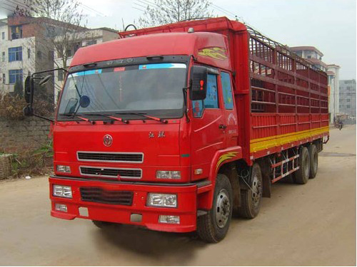 公司車(chē)輛